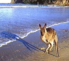 Batemans Bay, New South Wales