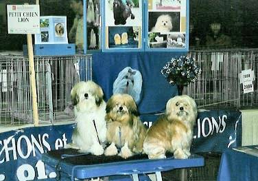 Mouchka, with Talia and Tardor in Show at Toulouse, France (Sylvia Soula)